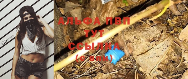 PSILOCYBIN Абаза
