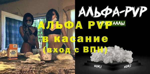 PSILOCYBIN Абаза